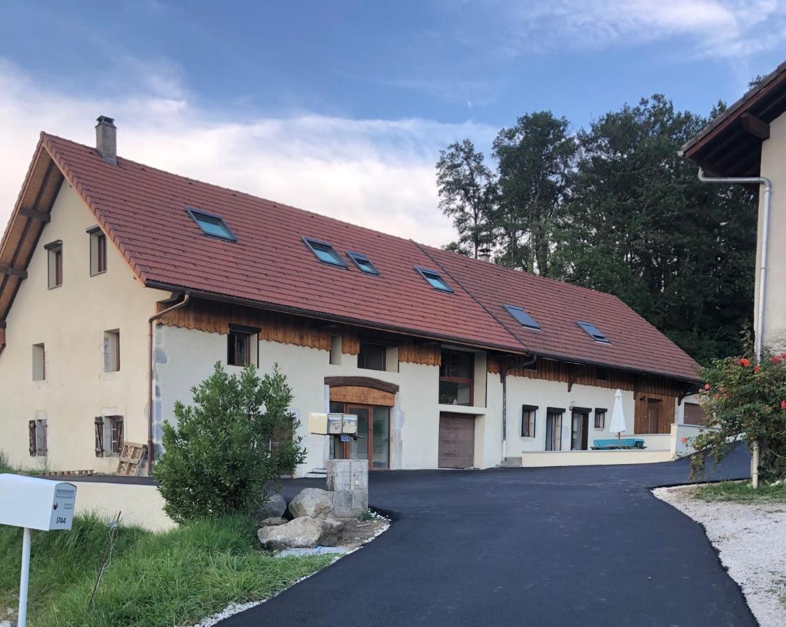 Ferienwohnung T2 Meuble De 40M2 Axe Annecy/Geneve Saint-Martin-Bellevue Exterior foto